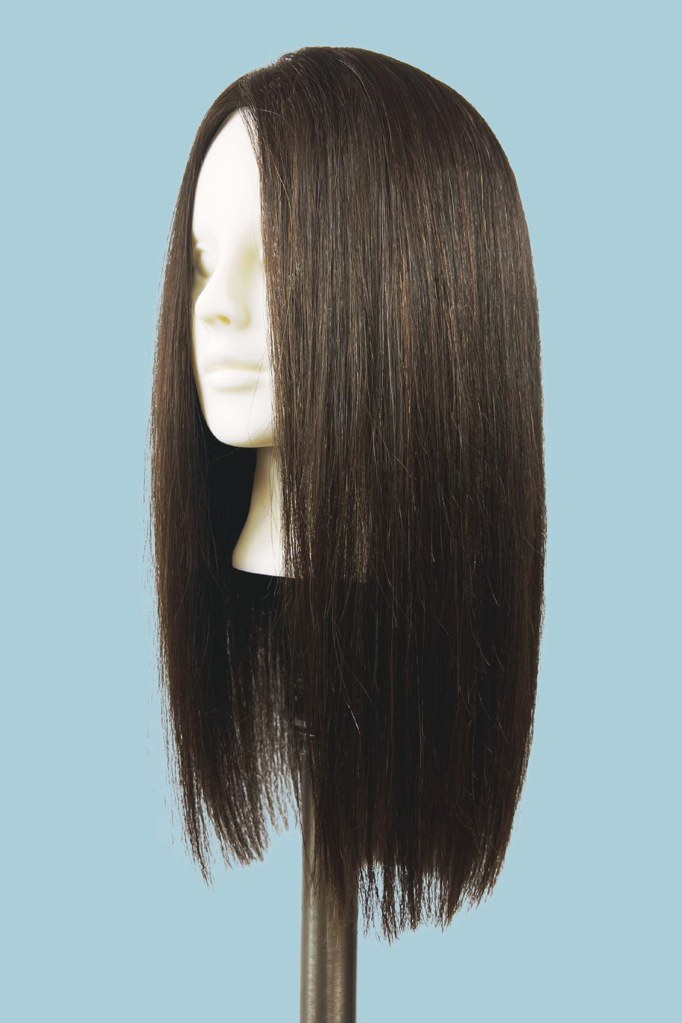 ARC Type 1B, High Density, Professional Mannequin Head